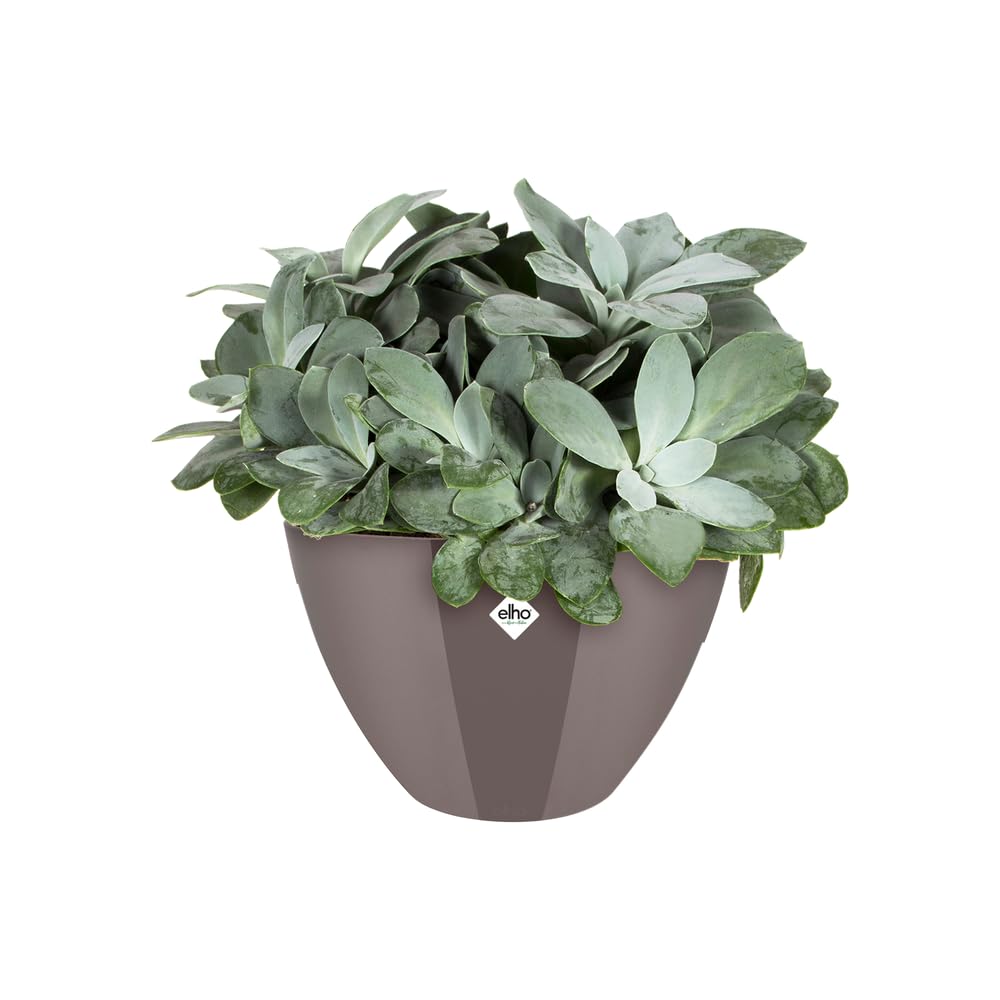 elho-brussels-diamond-ovale-haut-36-cm-gris-perle-plastique-recycl image 3