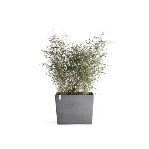 ecopots-paris-85-jardini-re-sur-roues-gris-85-x-40-x-h-65-cm-152-l image 7