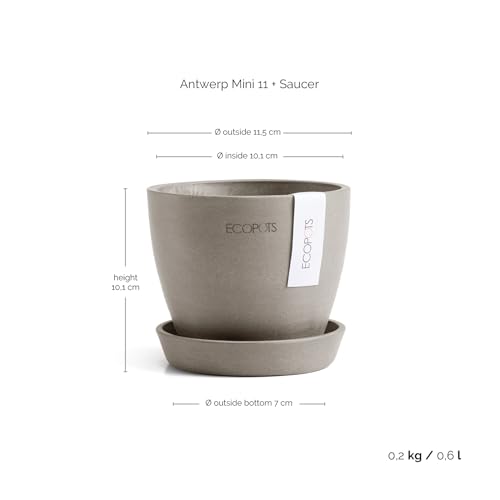 ecopots-antwerp-mini-11-soucoupe-taupe-11-5-x-11-5-x-10-1-cm image 7