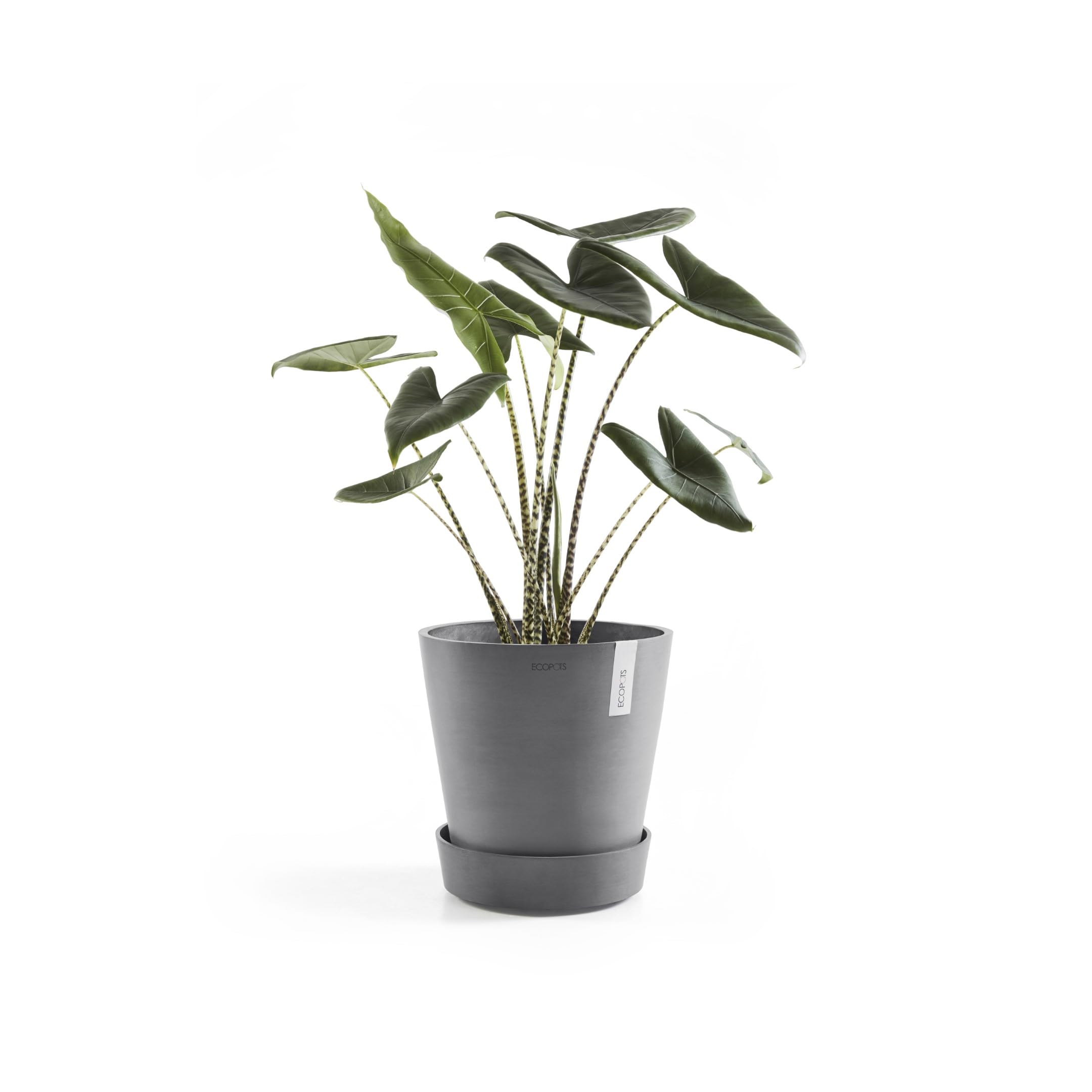 ecopots-plateau-amsterdam-sur-roues-41-6-cm-gris image 3