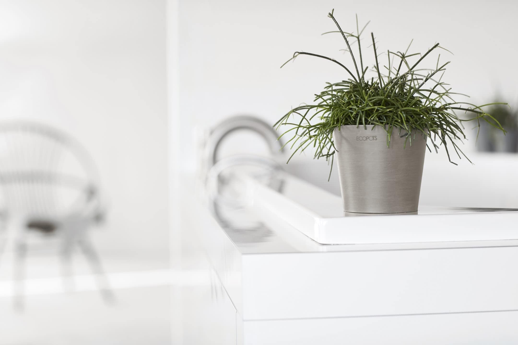 ecopots-amsterdam-mini-d13-x-h-11-4-cm-pot-de-fleur-gris image 4