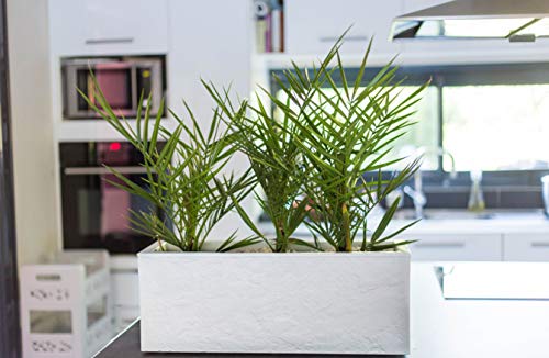 eda-balconni-re-volcania-up-25-l-59-cm-blanc-c-rus image 6