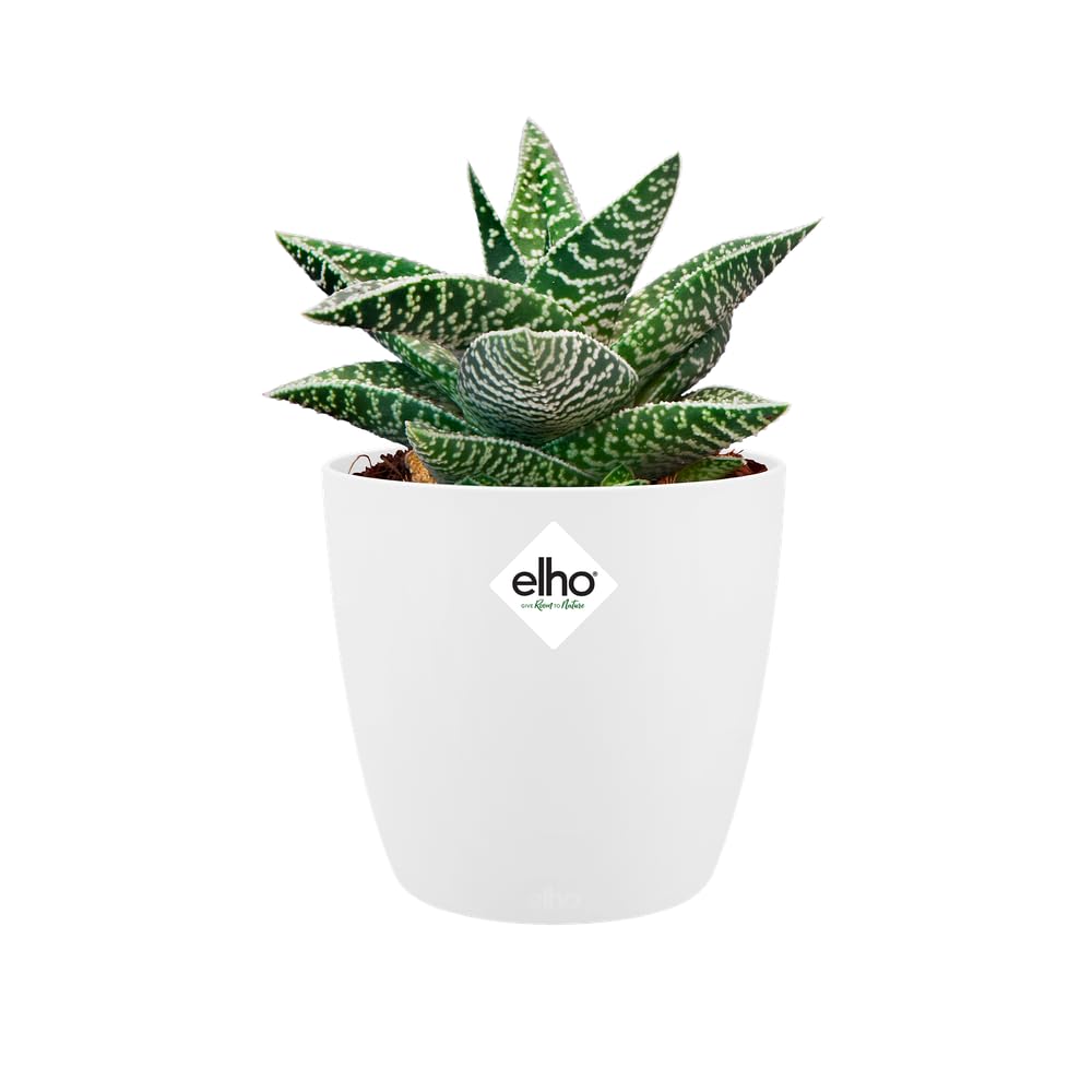elho-brussels-rond-mini-10-5-cm-blanc-11-x-h-9-7-cm image 7