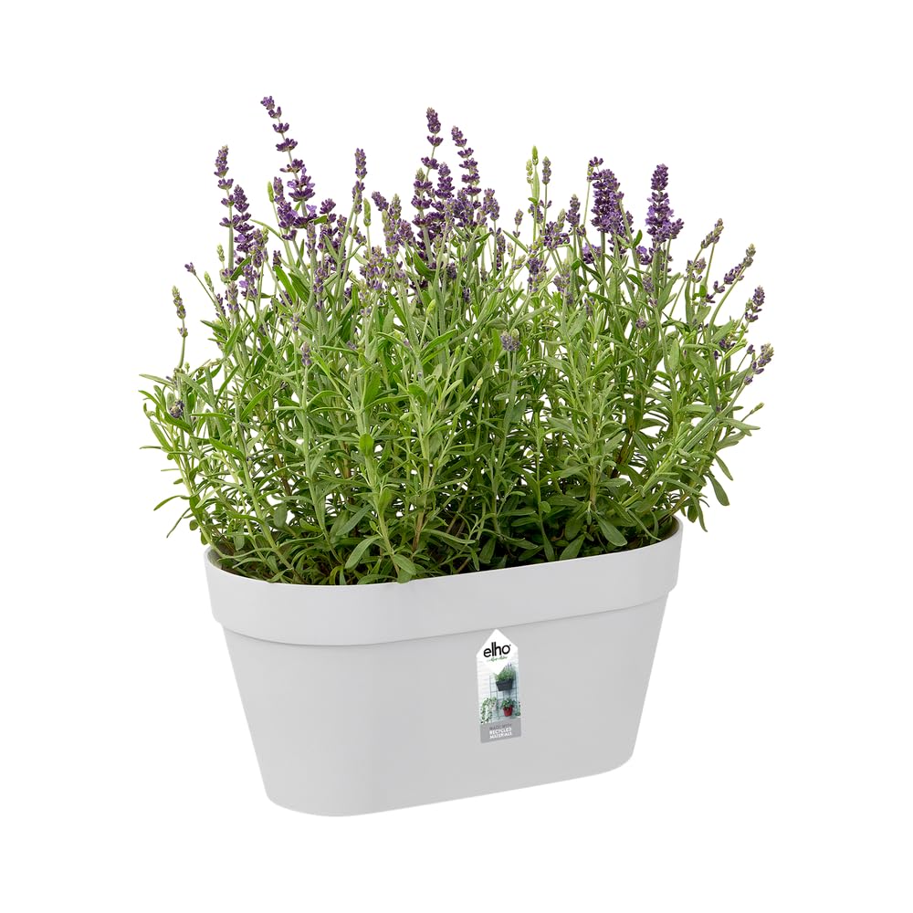 elho-loft-urban-green-wall-duo-28-cm-balconni-re-murale-blanche-l-15-x-l-28-x-h- image 3