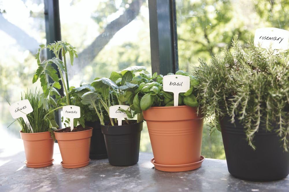 elho-green-basics-tiquettes-planter-s-blanc-lot-de-5 image 6