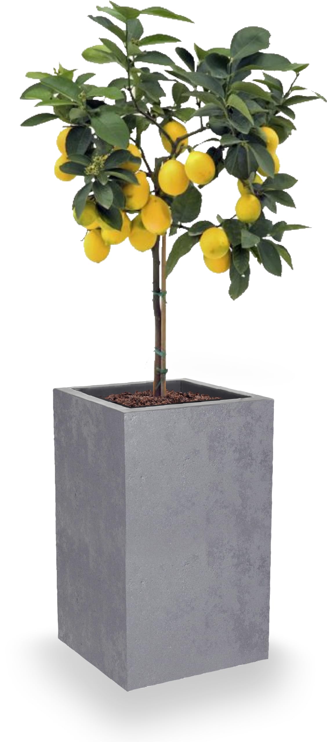 eda-basalt-up-pot-carr-haut-36-l-29-5-x-29-5-x-h-49-5-cm-gris-b-ton image 3