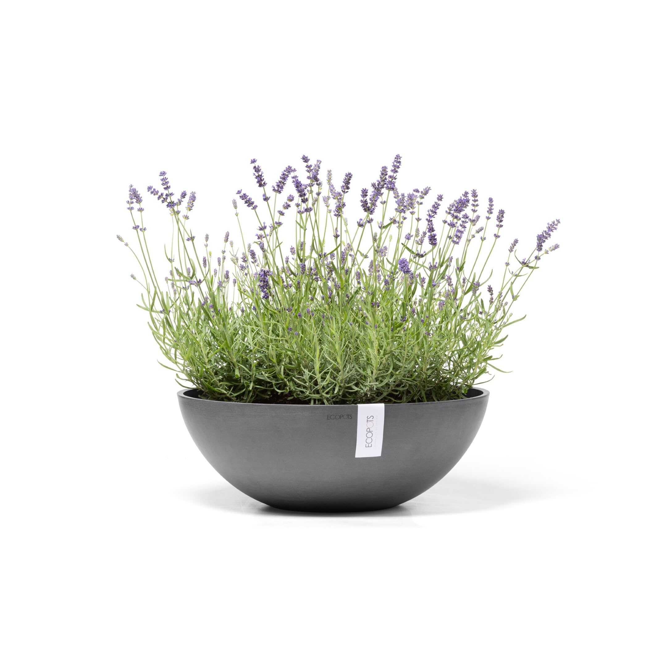 ecopots-vienna-50-gris-pot-de-fleurs-50-cm image 2
