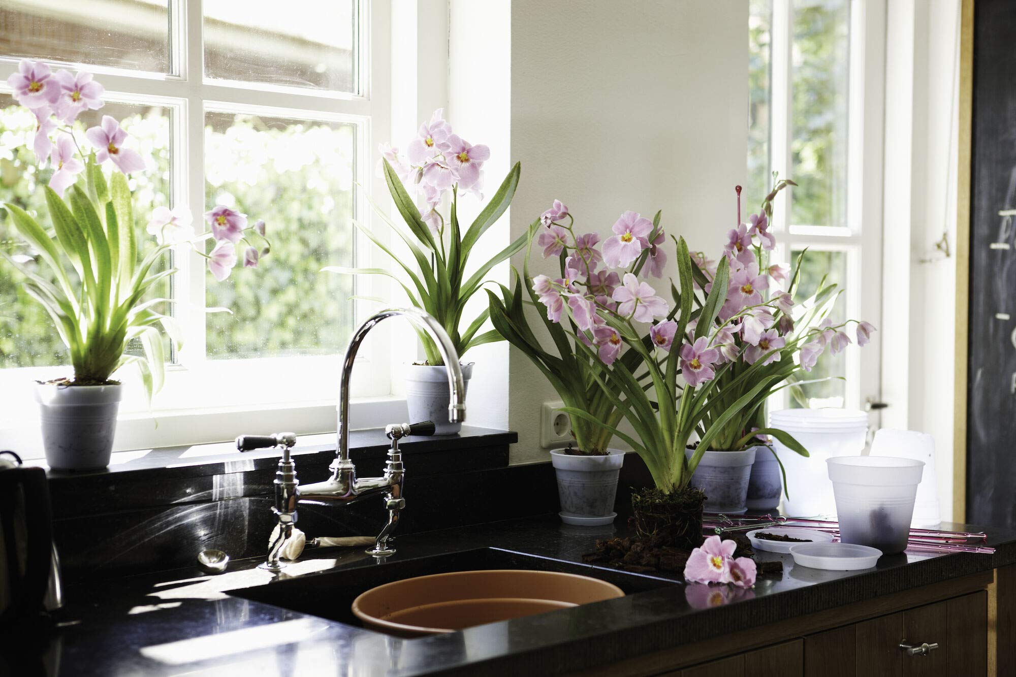 elho-green-basics-soucoupes-orchid-e-10-cm-transparent image 3