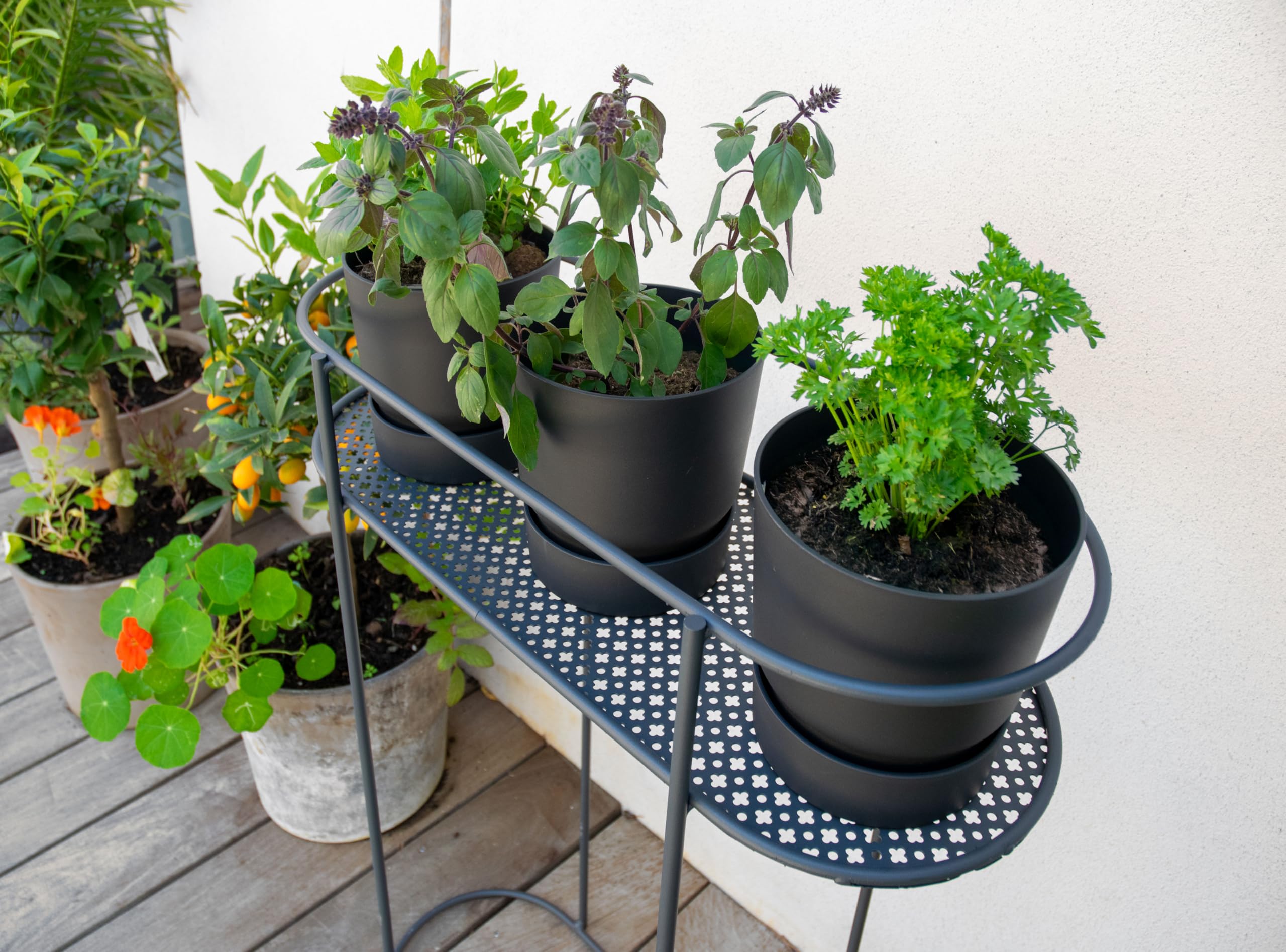 louis-moulin-support-plantes-et-aromatiques-sur-pieds-80-cm-anthracite-fabriqu-e image 4