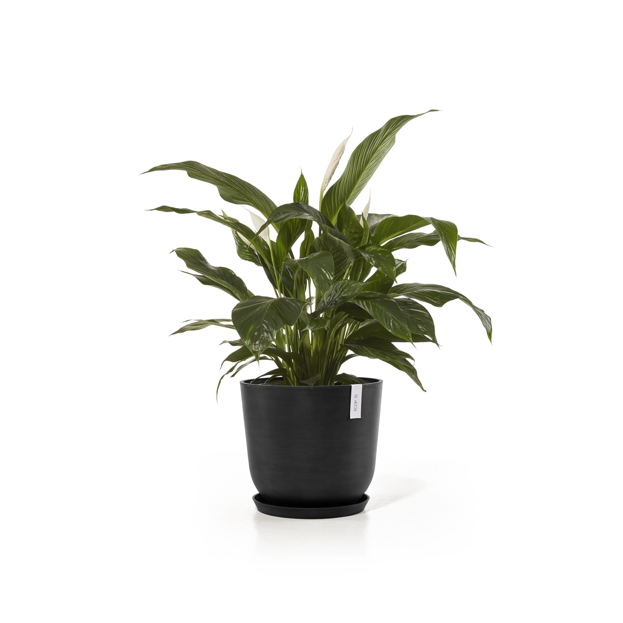 ecopots-pot-rond-oslo-45-gris-fonc-r-servoir-d-eau-45-x-h-39-2-cm-46-6-l image 6