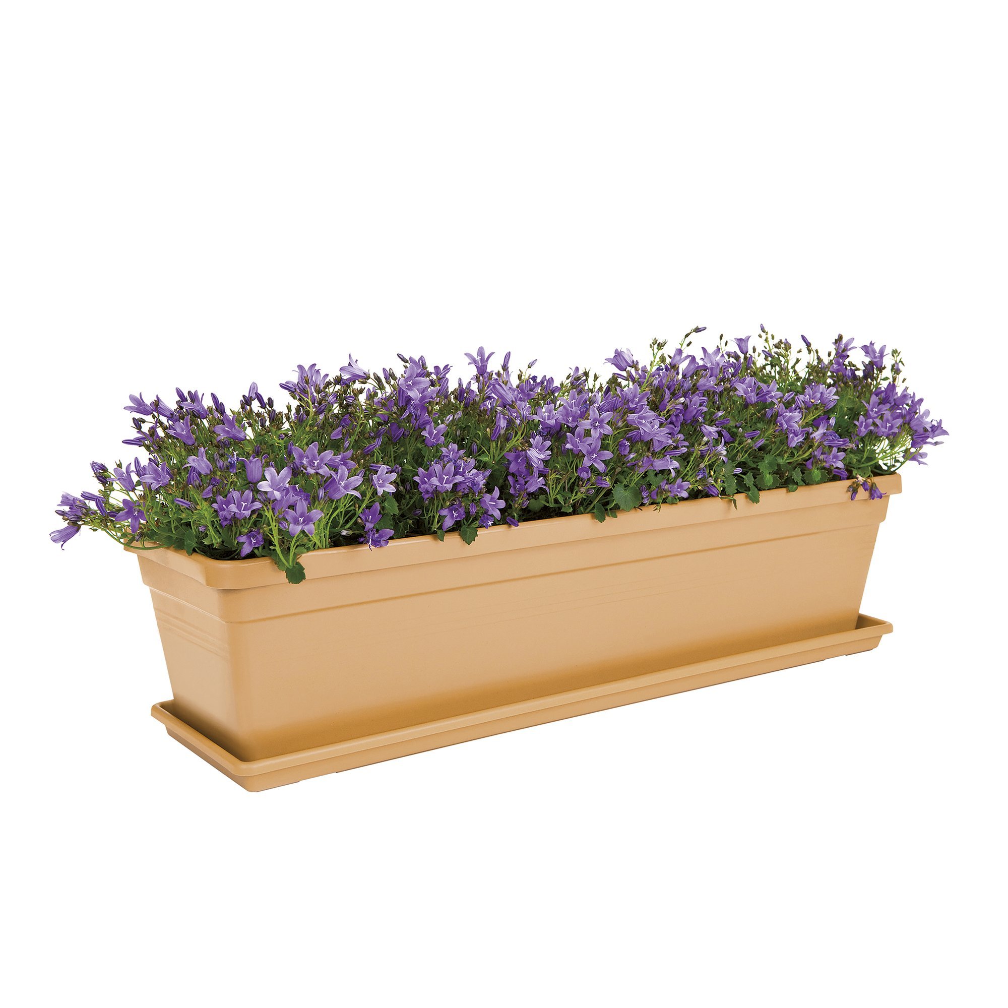 elho-green-basics-balconni-re-soucoupe-40-cm-living-noir image 4