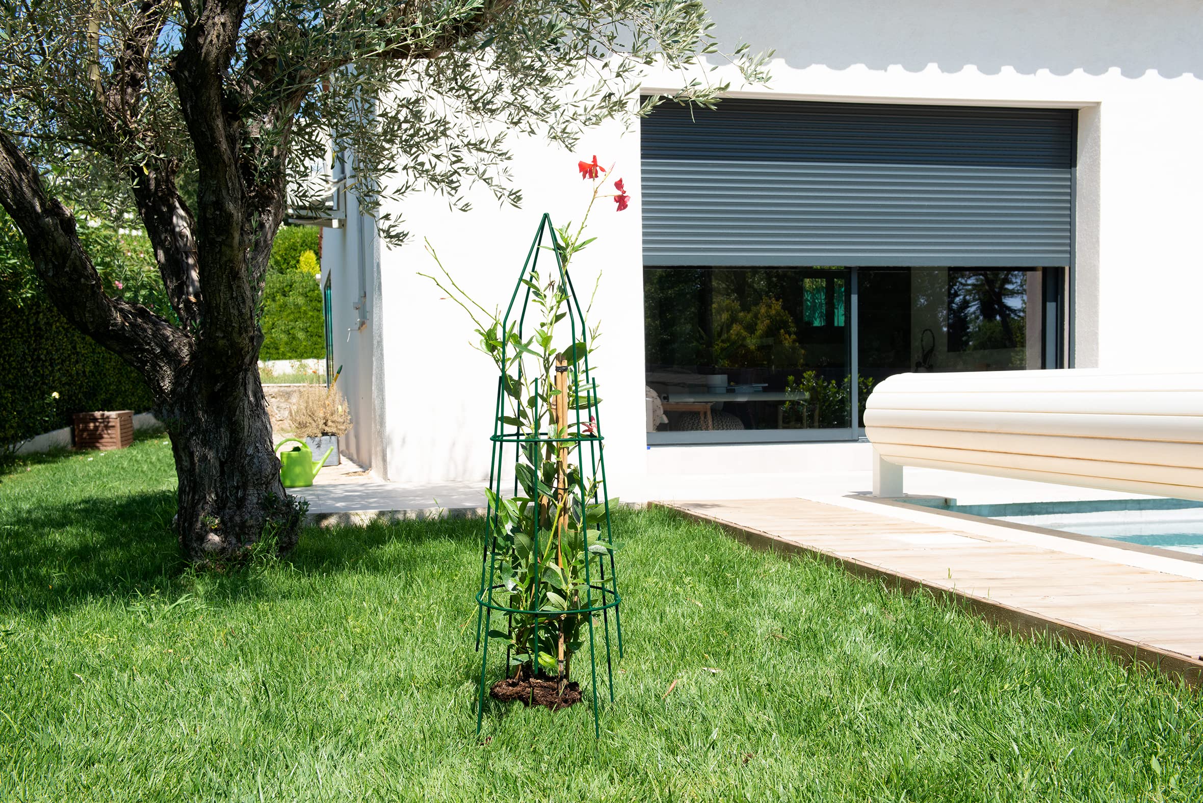 louis-moulin-tipi-rond-27x97-cm-tuteur-vert-sapin-made-in-france image 4