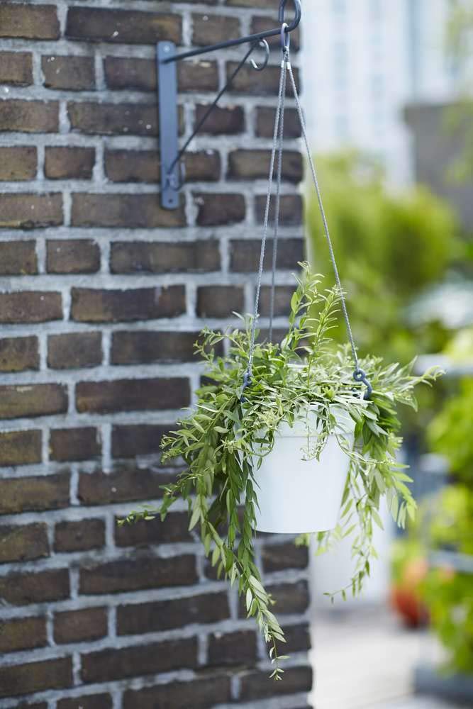 elho-loft-urban-suspension-20-pot-suspendu-19-5-x-h-19-cm-avec-corde-blanc-blanc image 5