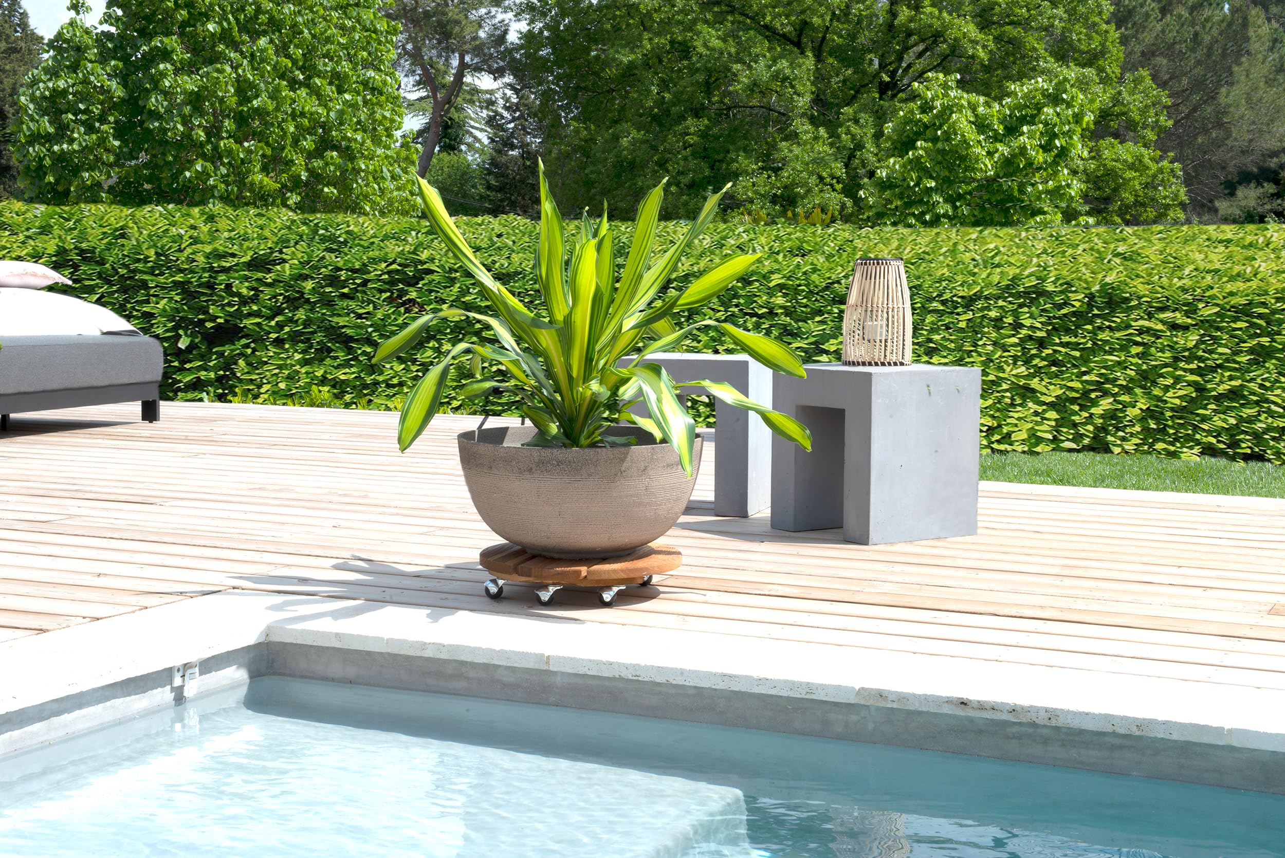 louis-moulin-roule-plante-bois-rond-45-cm-naturel-origine-france-garantie image 3