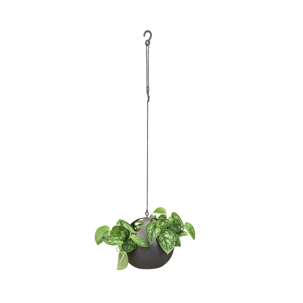 elho-b-for-soft-air-pot-suspendu-anthracite-avec-cordon-18-x-18-x-16-1-cm image 6