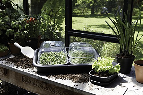 elho-green-basics-soucoupe-24-plateau-compatible-23-5-x-h-2-5-cm-vert-lime image 8