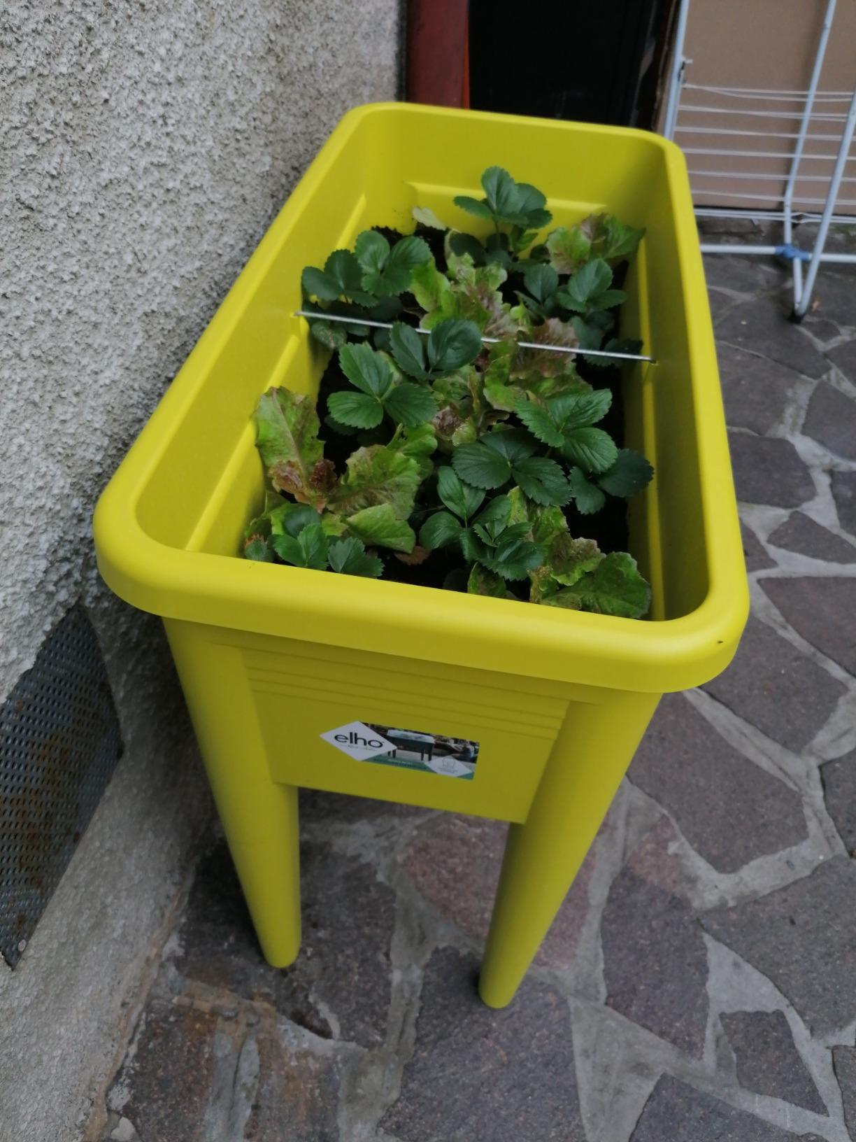 Très bien pour débuter