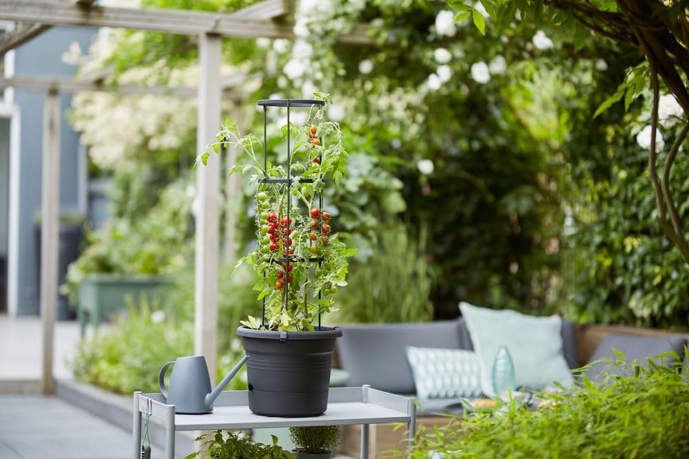 elho-green-basics-pot-tomate-33-cm-living-noir-33-5-x-h-26-cm image 7