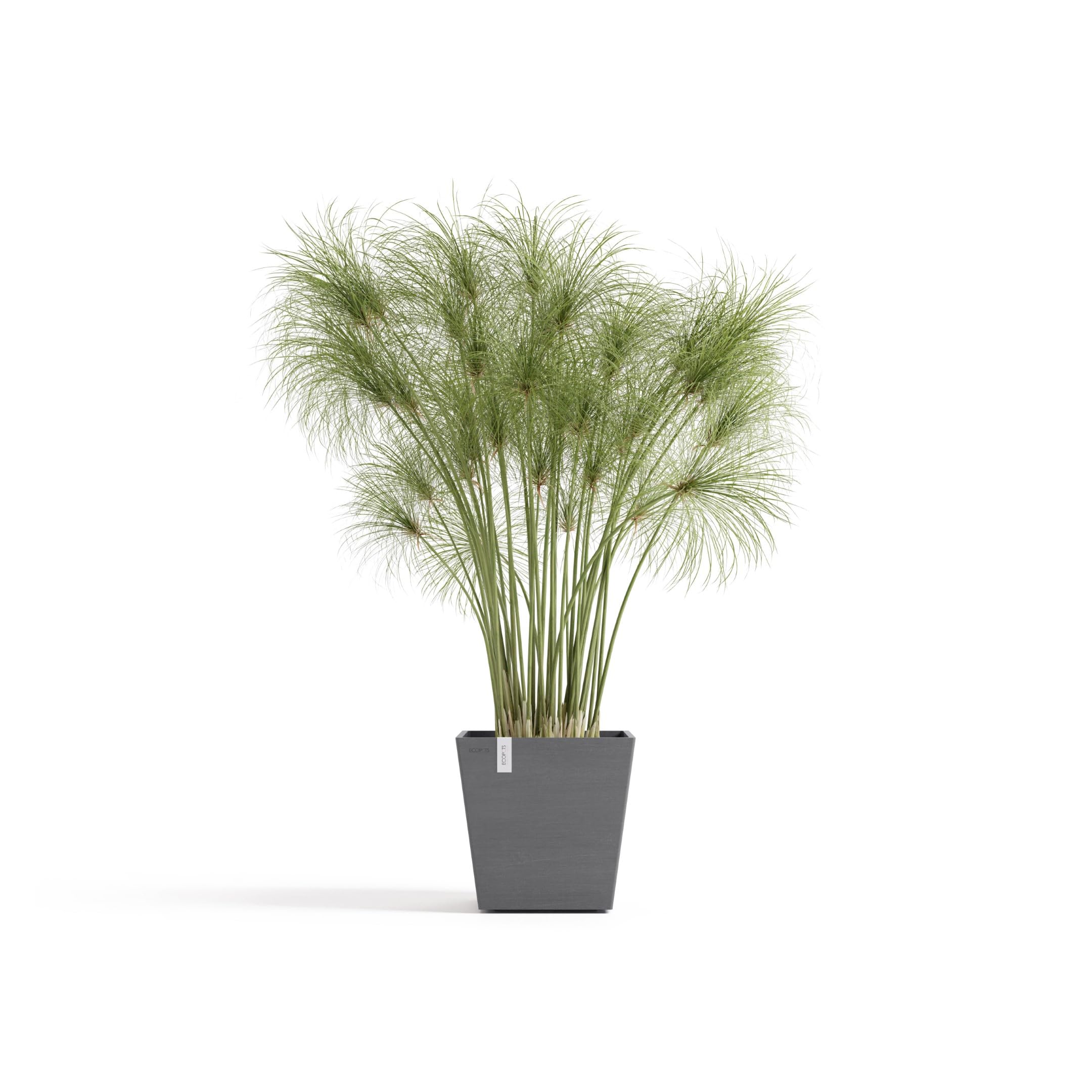 ecopots-rotterdam-pot-carr-25-gris-avec-r-servoir-d-eau-25-2-x-25-2-x-h-24-5-cm- image 2