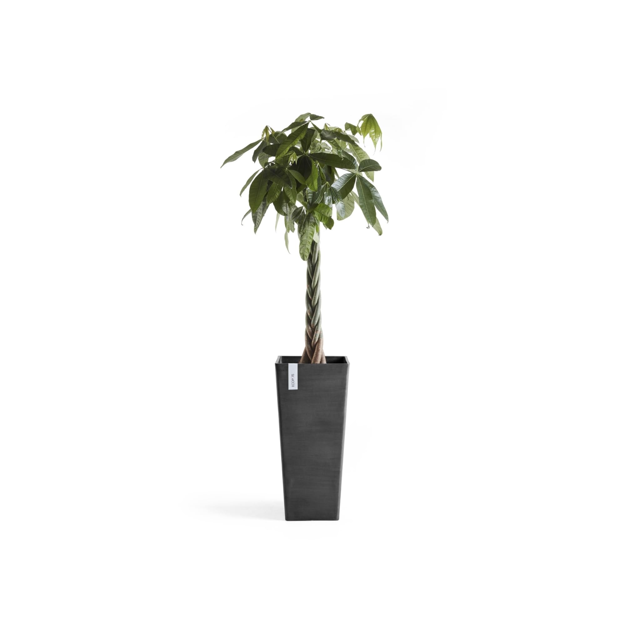 ecopots-rotterdam-pot-haut-70-cm-gris-fonc-42-l image 5