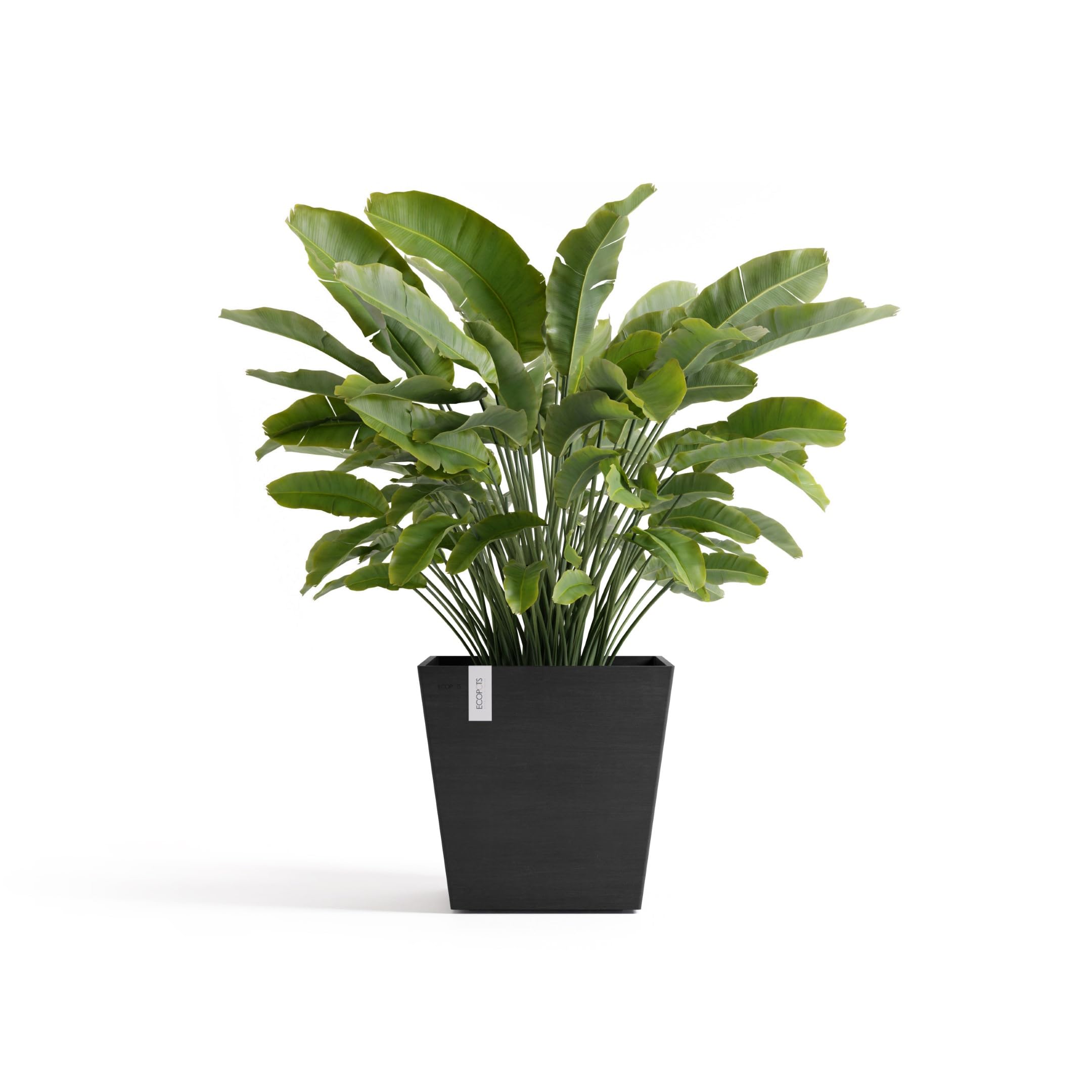 ecopots-rotterdam-45-pot-carr-gris-fonc-63-5-l-avec-r-servoir-d-eau image 2
