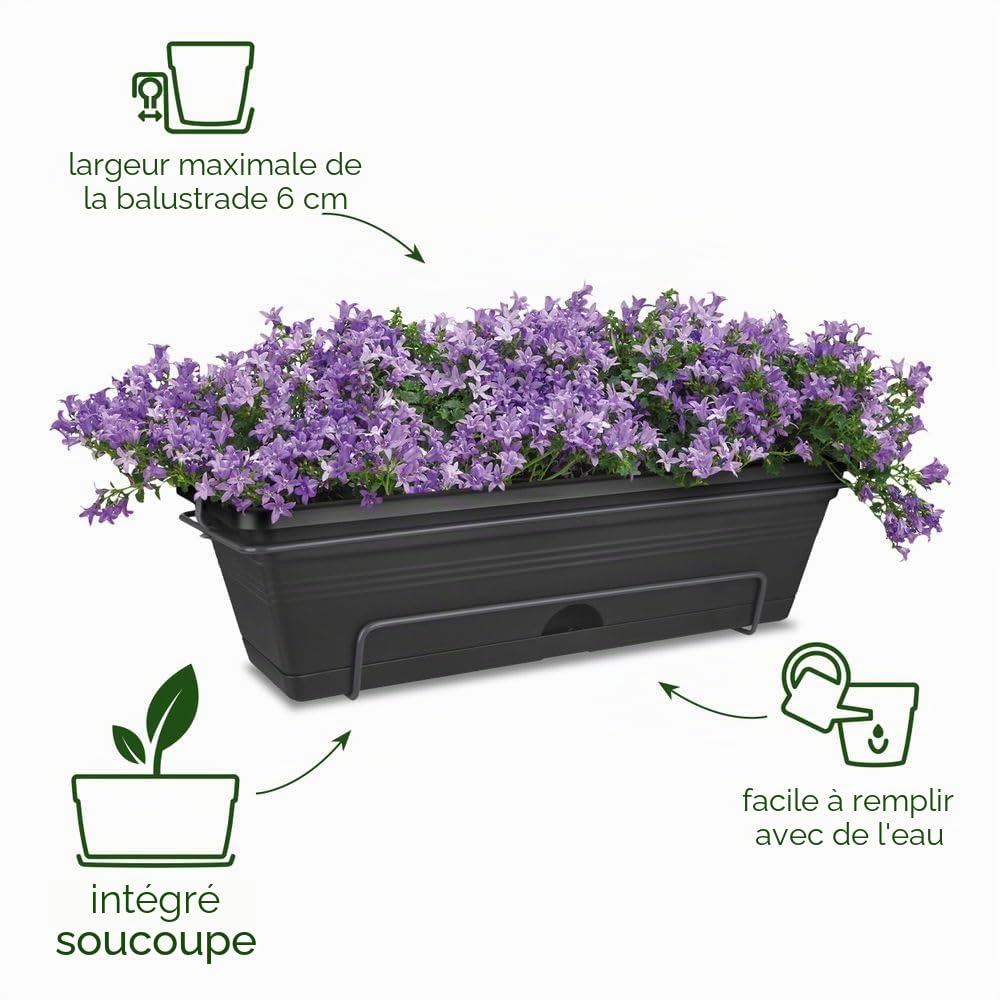 elho-green-basics-balconni-re-allin-1-50-cm-living-noir image 2