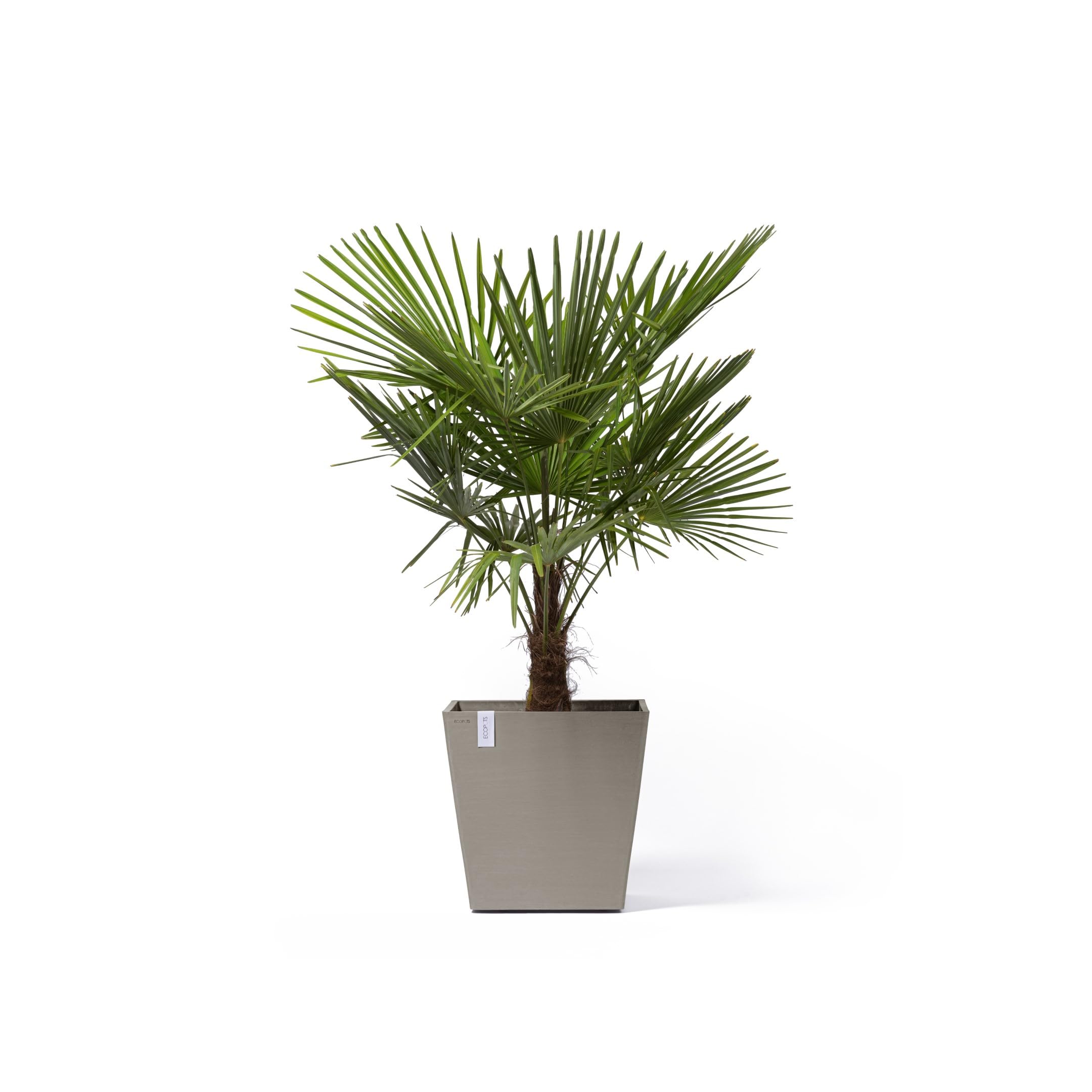 ecopots-rotterdam-50-grand-pot-sur-roues-taupe-50-x-50-x-h-49-2-cm-76-3-l image 3