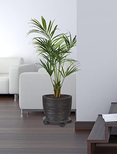 louis-moulin-roule-plante-design-50-cm-anthracite-made-in-france image 7