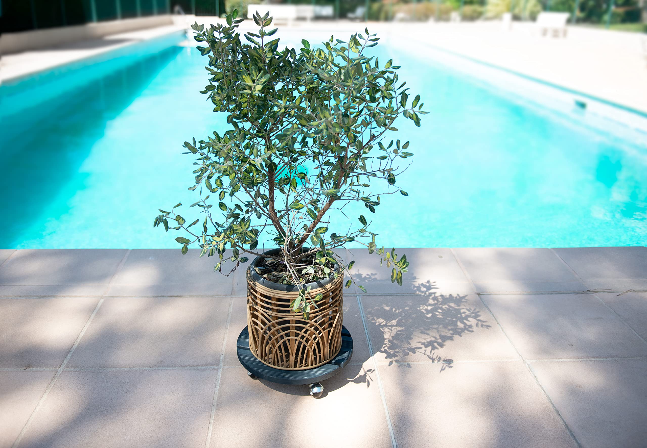 louis-moulin-roule-plante-bois-rond-37-cm-anthracite-origine-france-garantie image 3