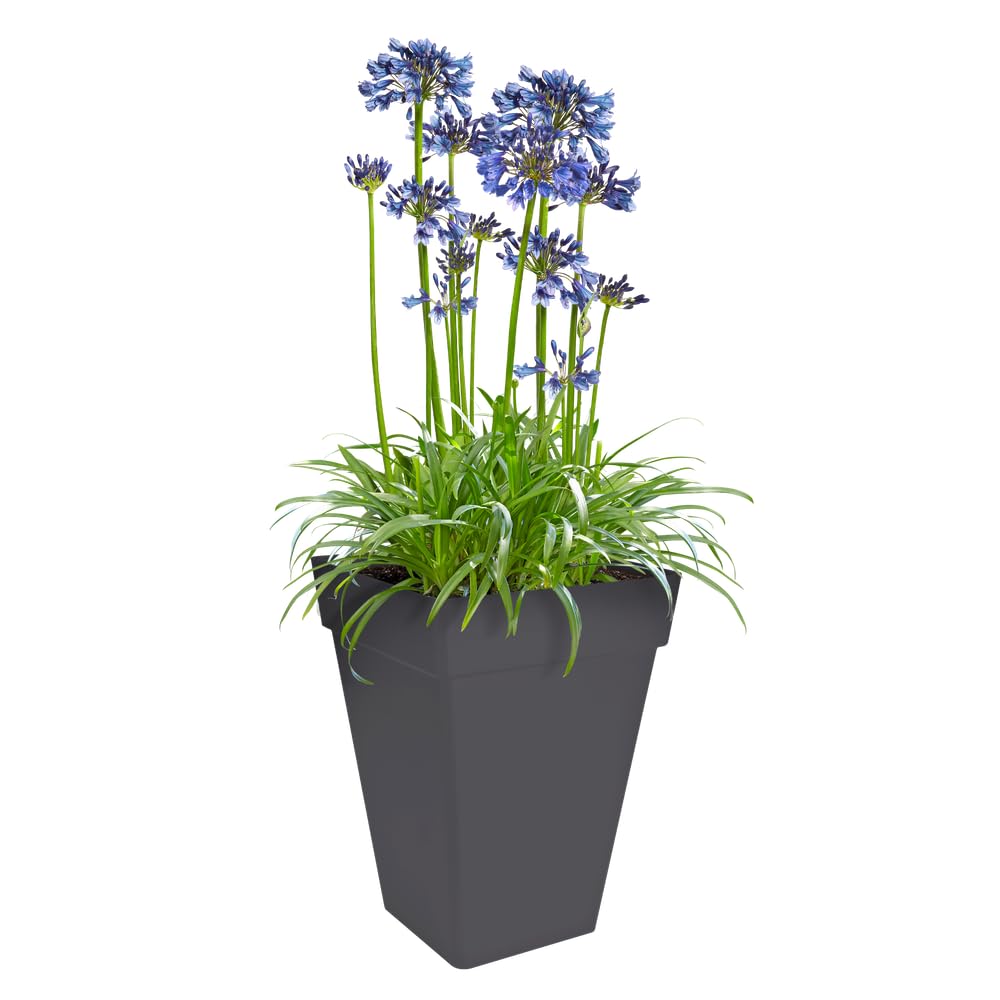 elho-loft-urban-carr-haut-37cm-pot-de-fleurs-anthracite image 8