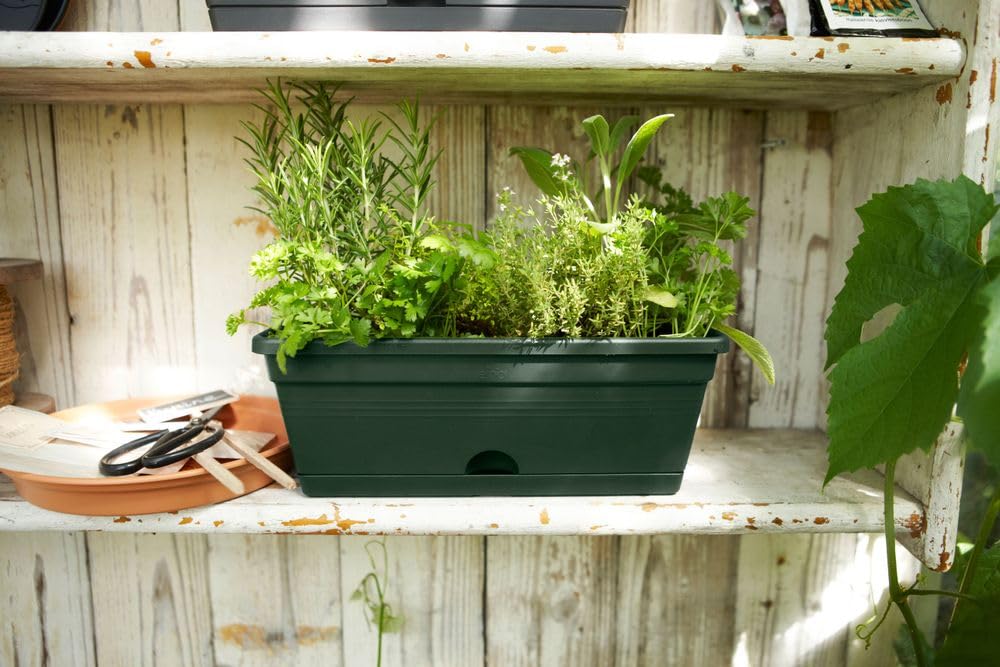 elho-green-basics-balconni-re-mini-30-cm-leaf-green image 5