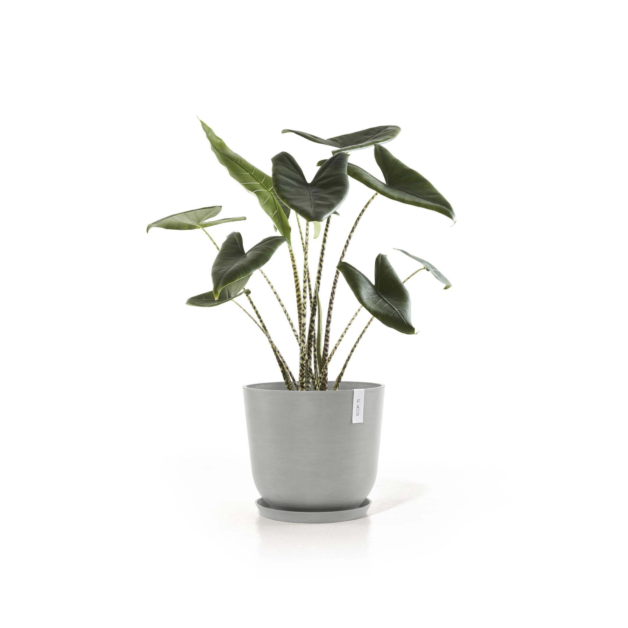 ecopots-oslo-45-pot-rond-blanc-gris-avec-r-servoir-d-eau-45-x-h-39-2-cm-46-6-l image 8
