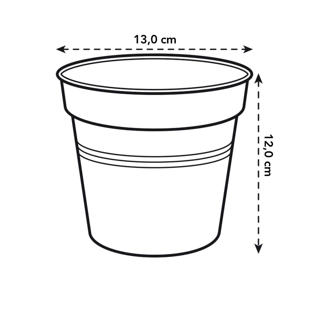 elho-green-basics-orchid-e-13cm-pot-de-fleur-transparent image 4