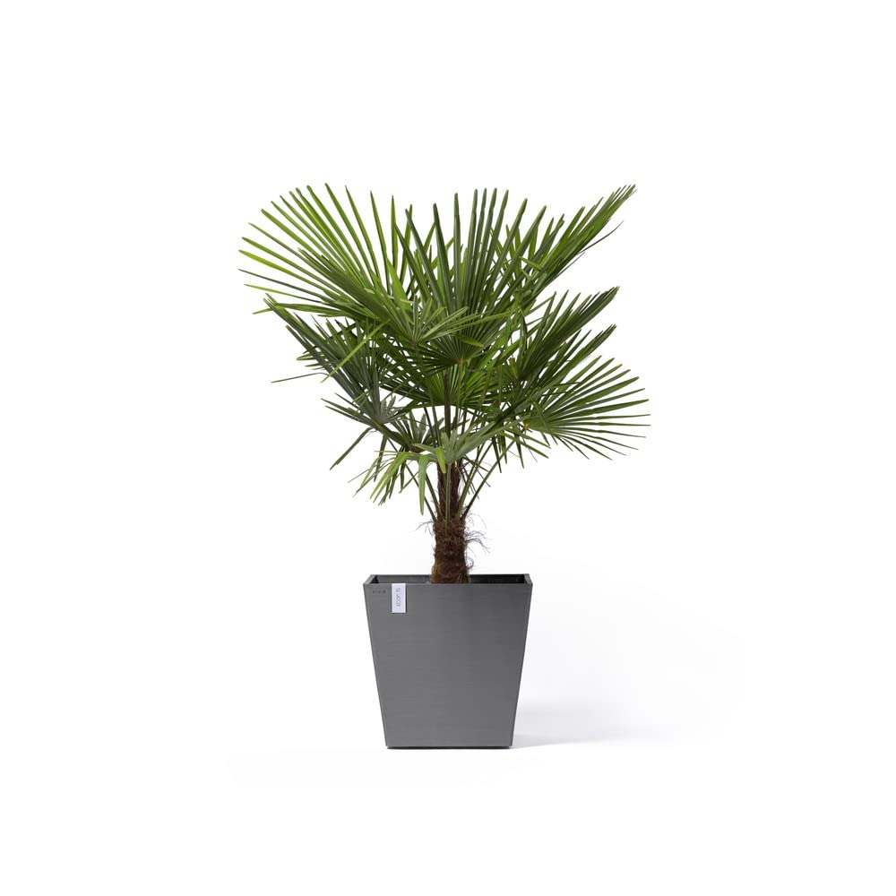 ecopots-rotterdam-grand-pot-sur-roues-50-gris-50-x-50-x-h-49-2-cm-76-3-l image 2