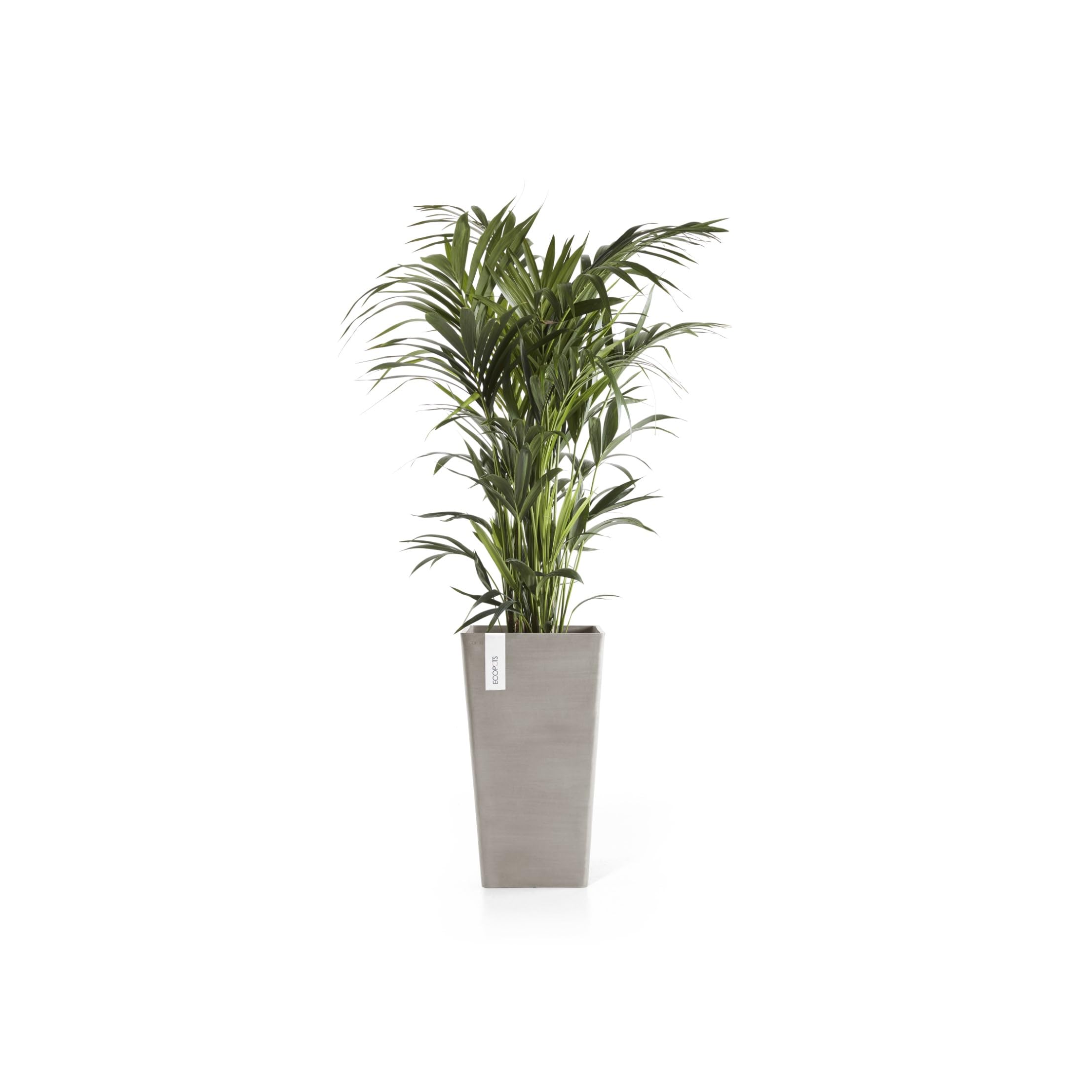 ecopots-rotterdam-56-pot-haut-carr-taupe-31-x-31-x-h-56-cm-36-2-l image 2