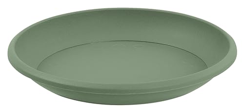 eda-osaka-soucoupe-ronde-15-cm-vert-laurier image 7