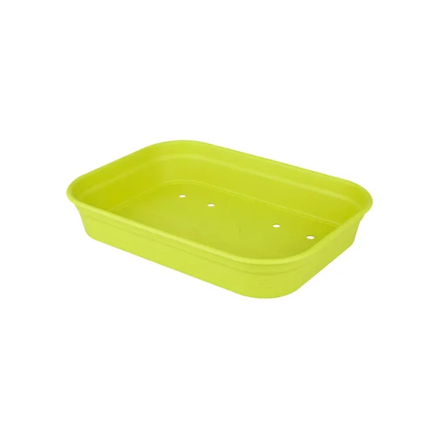 elho-green-basics-plateau-de-culture-36-36-0-x-h-6-3-cm-vert-lime image 1