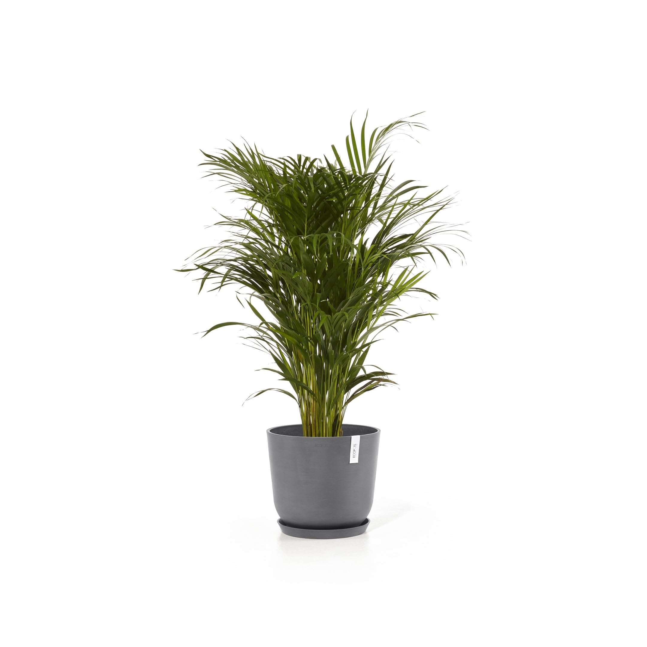 ecopots-oslo-35-pot-rond-avec-r-servoir-d-eau-gris-35-x-h-30-5-cm-21-7-l image 7