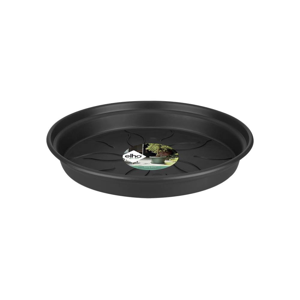 elho-green-basics-soucoupes-orchid-e-10-cm-transparent image 7