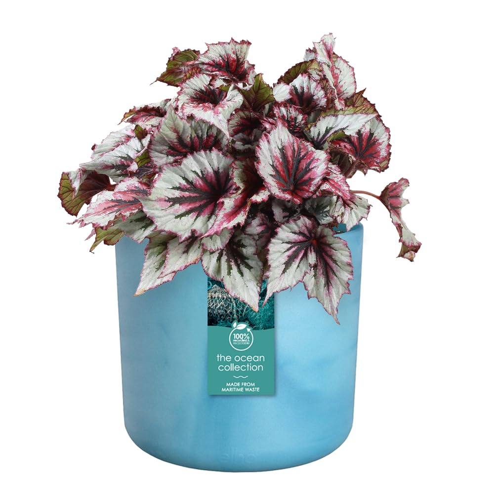 elho-the-ocean-collection-ronde-22cm-pot-bleu-atlantique-22-3-x-h-20-4-cm image 3