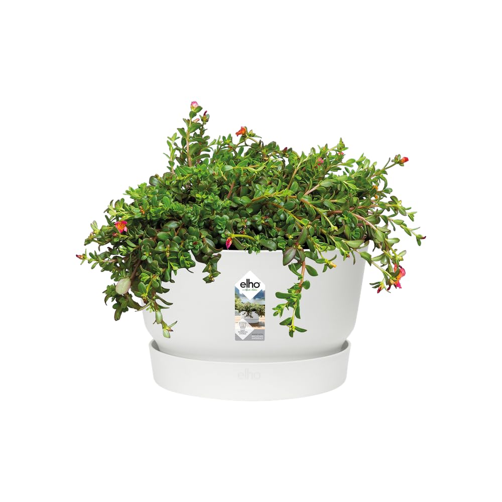 elho-greenville-coupe-33-cm-pot-de-fleur-blanc-32-5-x-h-19-4-cm image 3