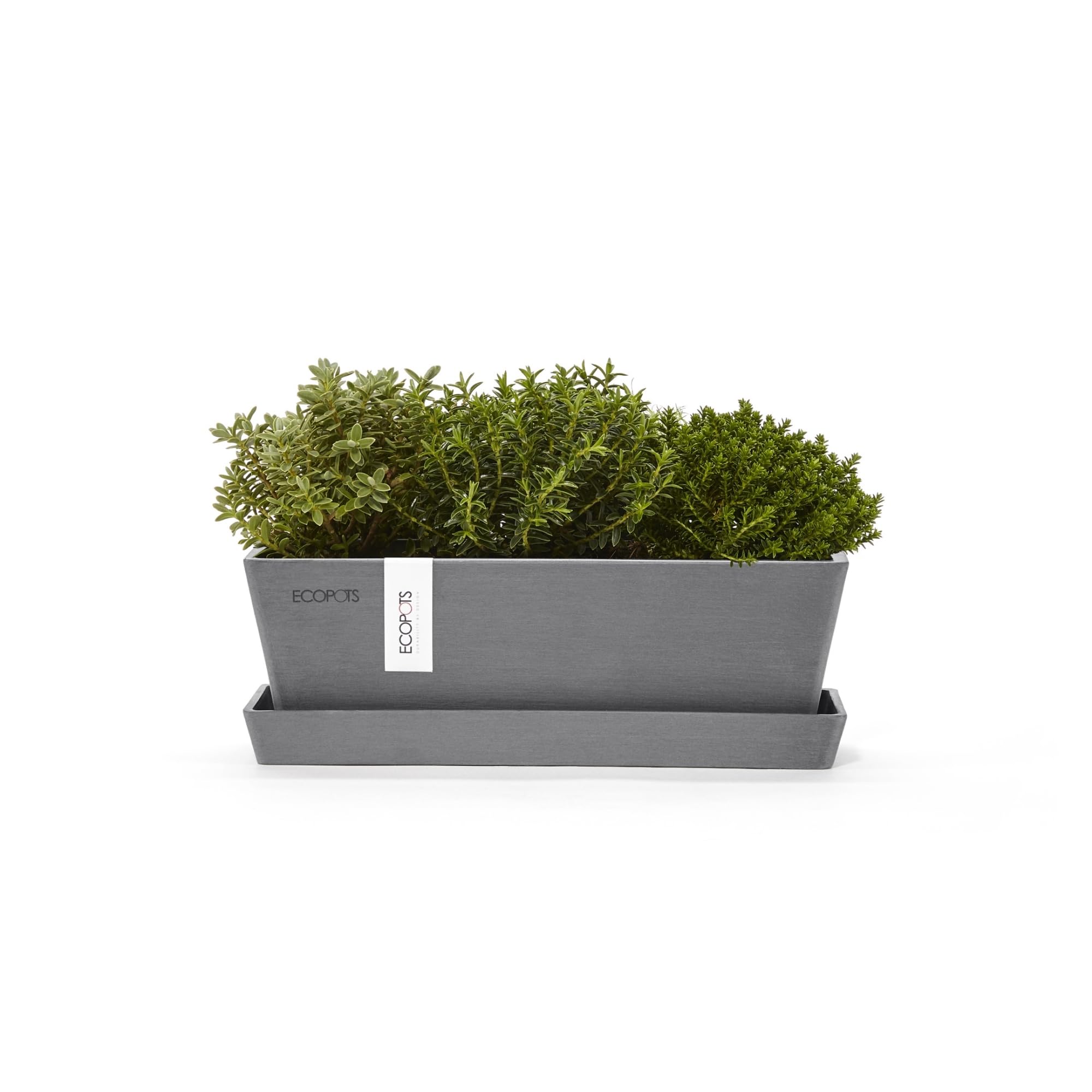ecopots-bruges-jardini-re-rectangulaire-avec-soucoupe-gris-25-4-cm image 4