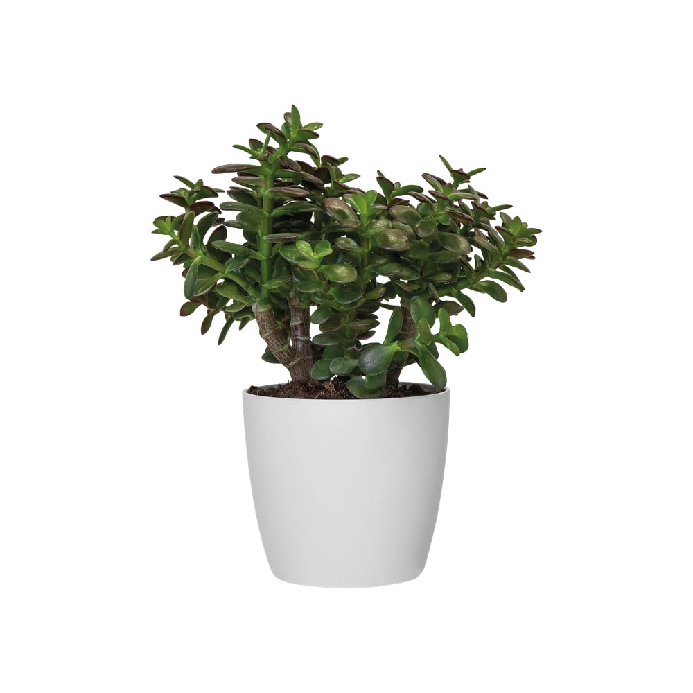 elho-brussels-rond-14-cm-cache-pot-violet-vif image 7