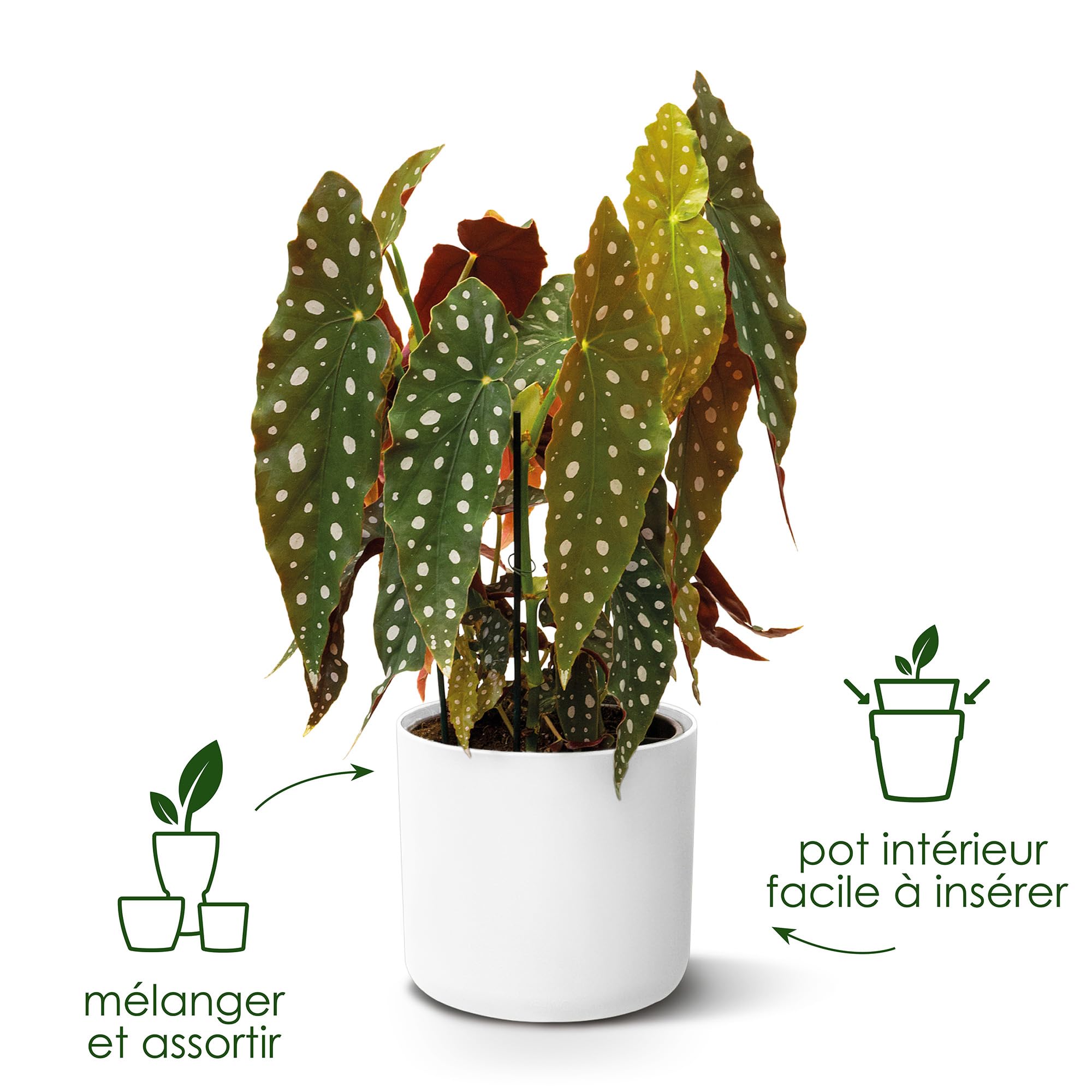elho-b-for-soft-rond-lot-3-cache-pots-14-16-18-cm-blanc image 4