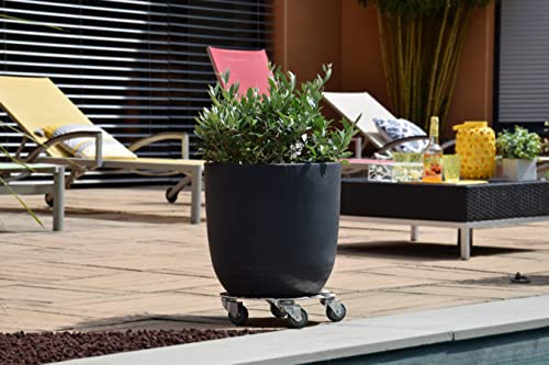louis-moulin-roule-plante-alu-rond-40-cm-140-kg-made-in-france image 6