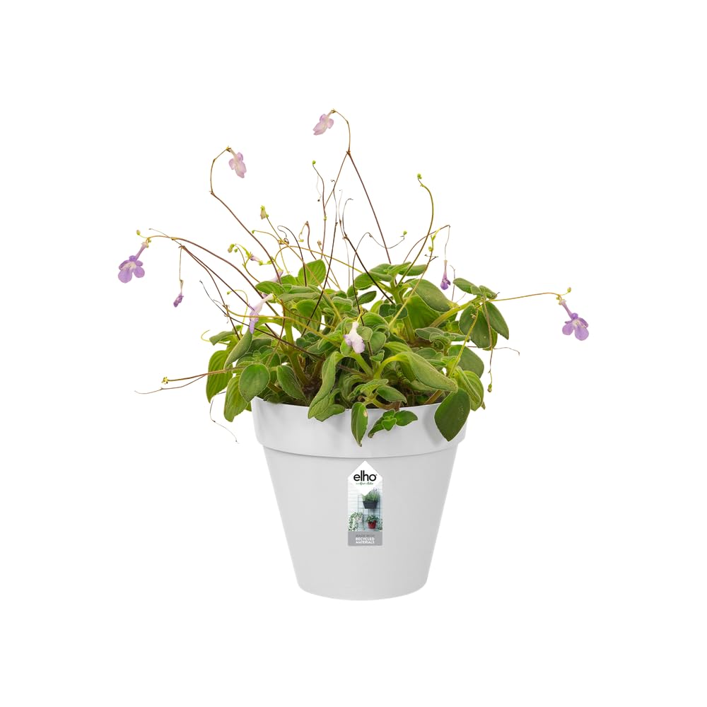 elho-loft-urban-green-wall-single-15cm-pot-de-fleur-blanc image 3