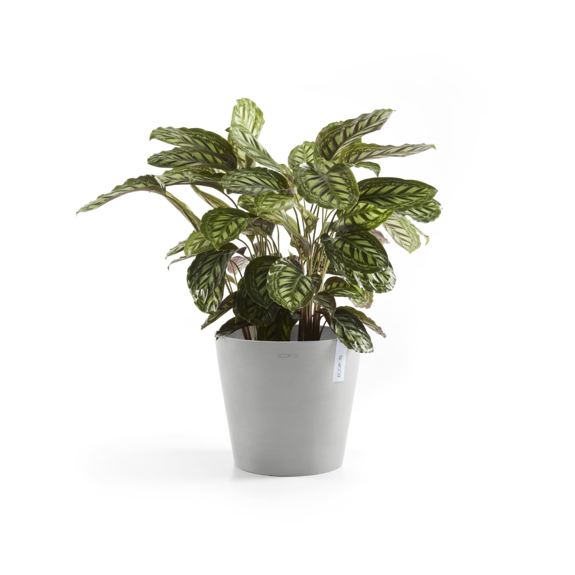 ecopots-amsterdam-pot-rond-30-x-h-26-cm-blanc-gris image 4
