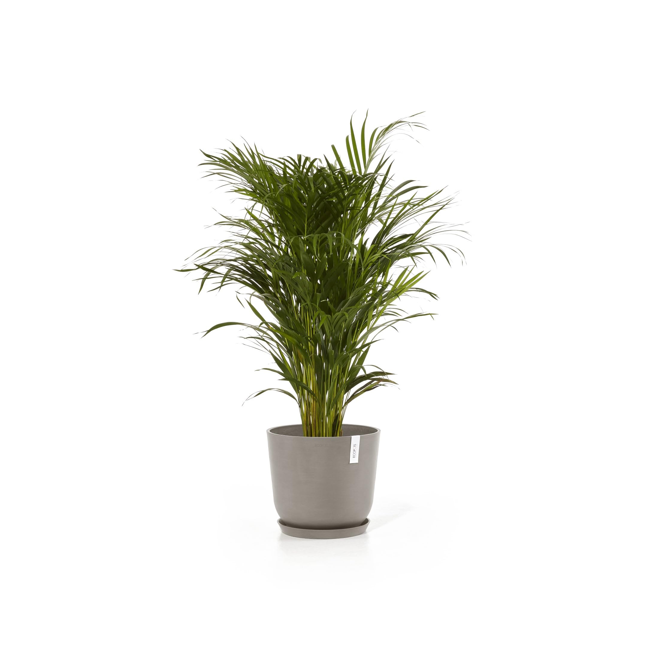 ecopots-oslo-pot-rond-35-cm-21-7-l-avec-r-servoir-d-eau-taupe image 7