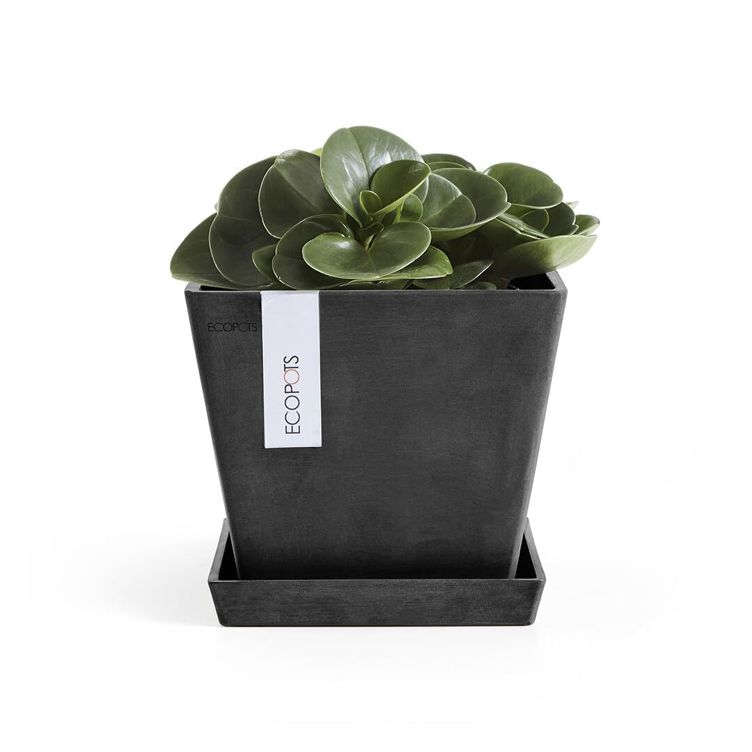 ecopots-rotterdam-soucoupe-carr-e-18-cm-anthracite image 3