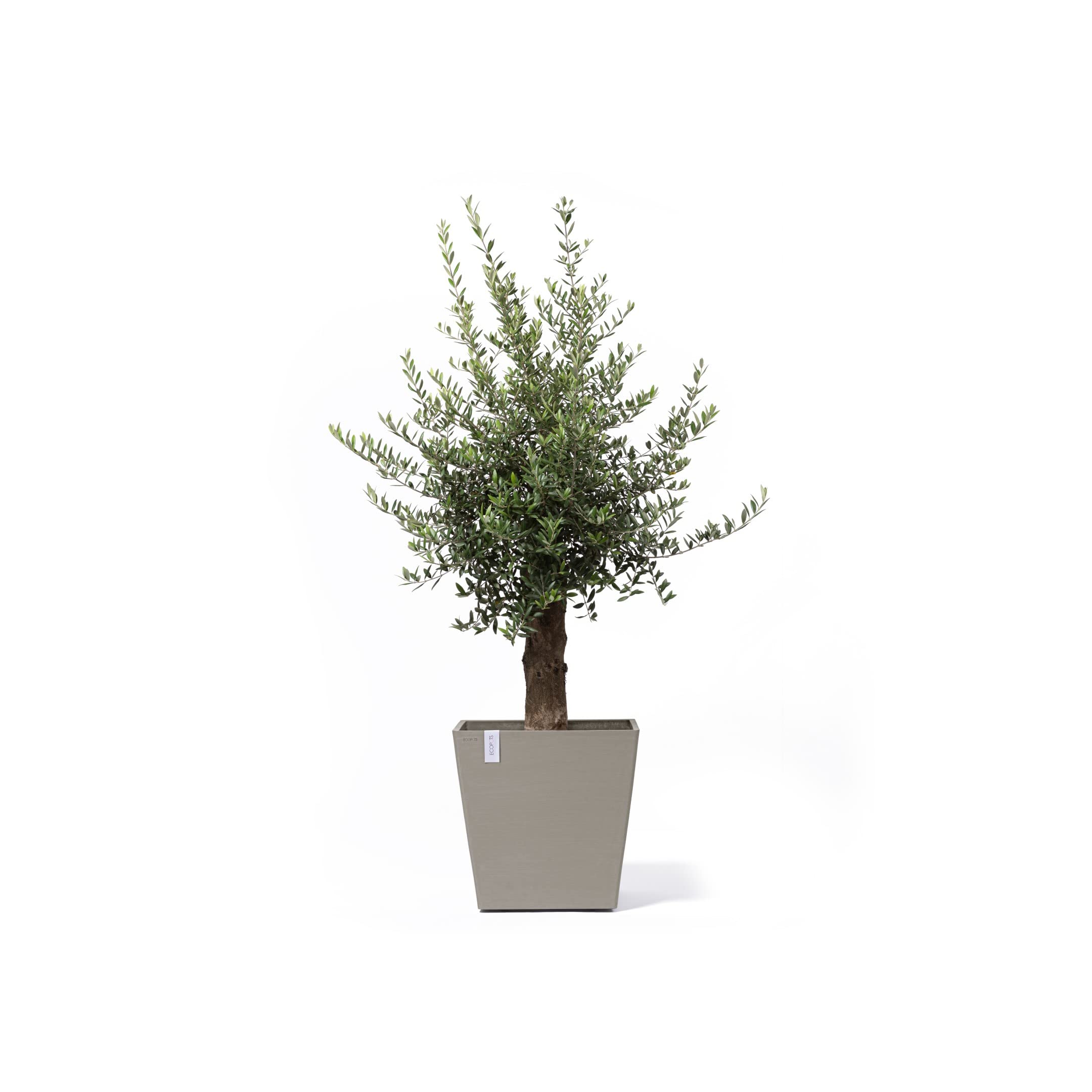 ecopots-rotterdam-50-pot-roulettes-carr-taupe-gris-brun-50-x-50-cm-recycl image 5
